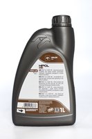 ORLEN OIL 100000282